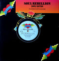 Soul Rebellion : Simple Rhythm (The JZJ Remixes) (12")