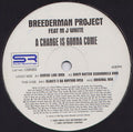 Breederman Project : A Change Is Gonna Come (12")