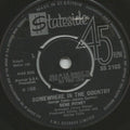 Gene Pitney : Somewhere In The Country (7", Single)