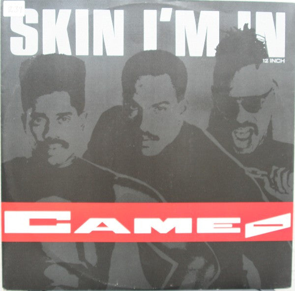Cameo : Skin I'm In (12", Single)