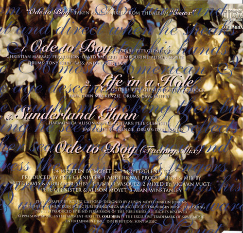 Alison Moyet : Ode To Boy (CD, Single)