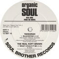 Various : Organic Soul Sampler (Real Soul From The Roots) (12", Smplr)