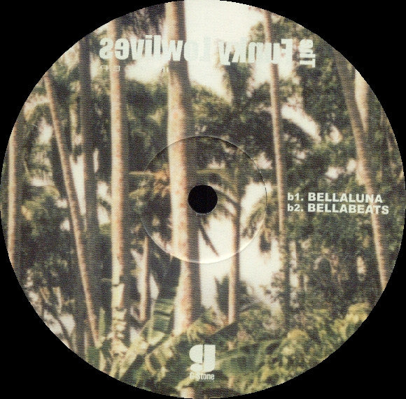 The Funky Lowlives : Inside EP (12", EP)