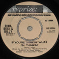 Dino, Desi & Billy : If You're Thinkin' What I'm Thinkin'  (7", Single)