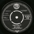 Neil Sedaka, Stan Applebaum And His Orchestra : Sweet Little You / I Found My World In You (7", Single, Pus)