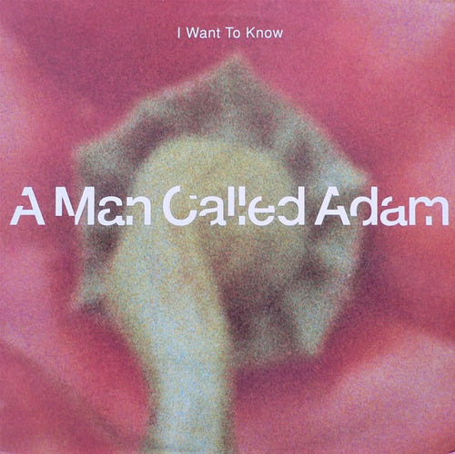 A Man Called Adam : I Want To Know (12", Maxi)
