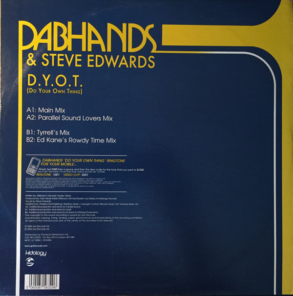The Dab Hands & Steve Edwards : D.Y.O.T. (Do Your Own Thing) (12")