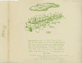 Number One Cup : Wrecked By Lions (CD, Album, Promo)