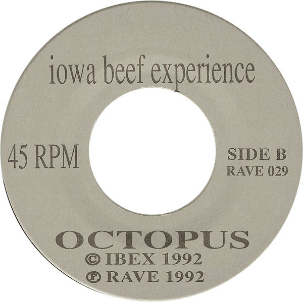 Iowa Beef Experience : New South Old Lies (7")