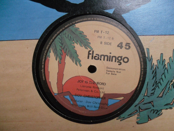 Dov Christopher (3) : Do It To Me One More Time (12", Promo)