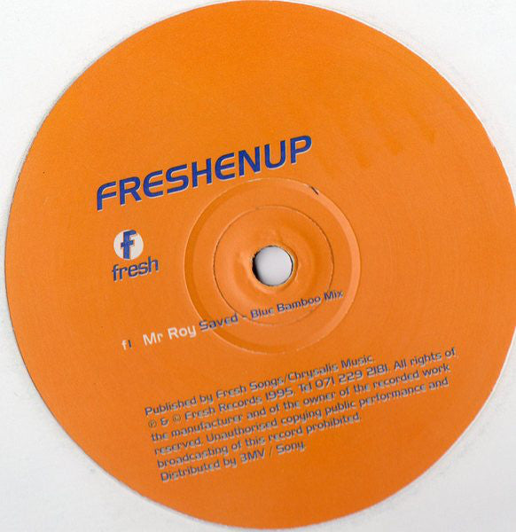 Mr. Roy : Saved (12", S/Sided)