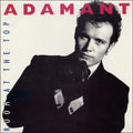Adam Ant : Room At The Top (7", Single, Inj)