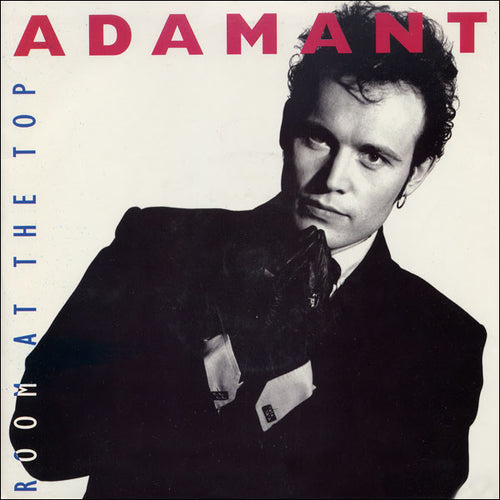 Adam Ant : Room At The Top (7", Single, Inj)