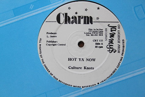 Kulcha Knox / Daddy Lizard : Hot Ya Now / Sexy Gal (12", Maxi)