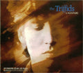 The Triffids : Calenture (2xCD, Album, Promo, RM, Gat)