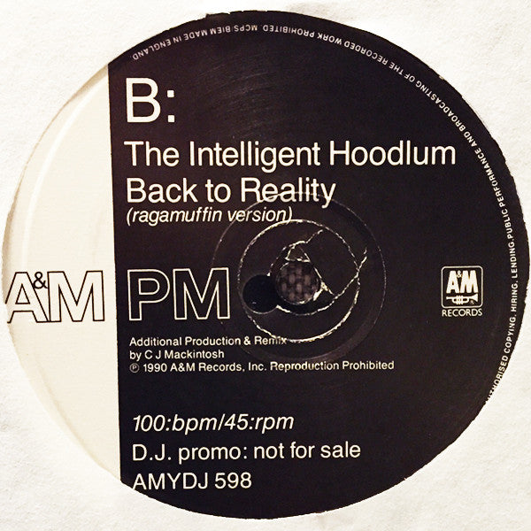 Intelligent Hoodlum : Back To Reality (The C.J. Mackintosh Mixes) (12", Promo)