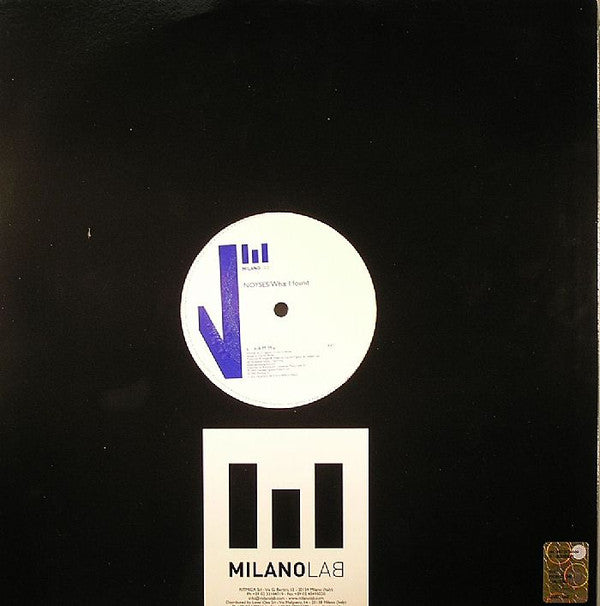 Noyses : What I Found (12")