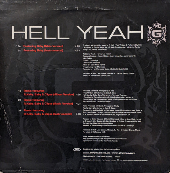 Ginuwine : Hell Yeah (12", Promo)