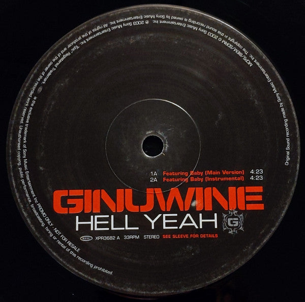 Ginuwine : Hell Yeah (12", Promo)