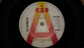 The Wombles : The Womble Shuffle (7", Single, Promo)