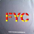 Fine Young Cannibals : The Flame (12", Promo)