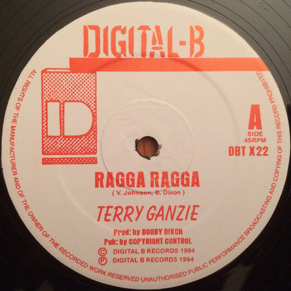 Terry Ganzie : Ragga Ragga / Team Up (12")