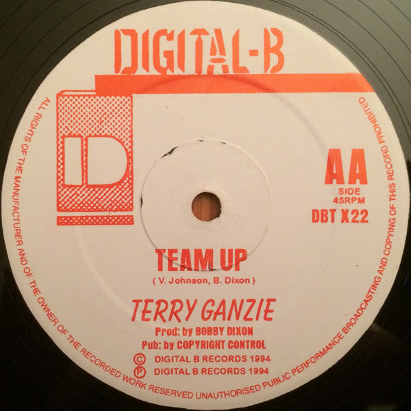 Terry Ganzie : Ragga Ragga / Team Up (12")