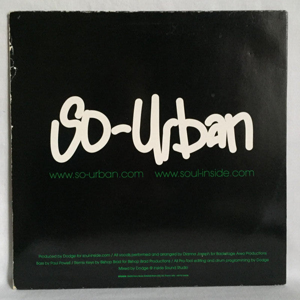 Venus Tribe : Slow Down (The Remixes Part II) (12", Promo)