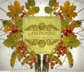 Amandine (2) : Solace In Sore Hands (CD, Album, Promo)