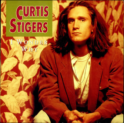 Curtis Stigers : I Wonder Why (12", Single)