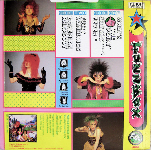 We've Got A Fuzzbox And We're Gonna Use It : What's The Point (The Bostinous One) (12", Single)