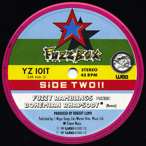 We've Got A Fuzzbox And We're Gonna Use It : What's The Point (The Bostinous One) (12", Single)
