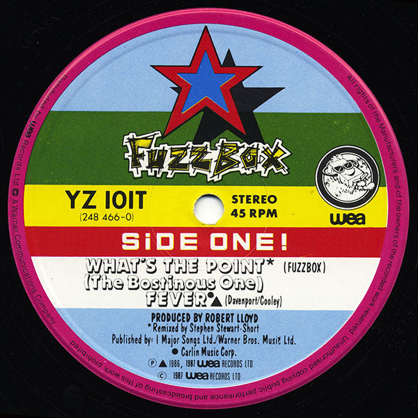 We've Got A Fuzzbox And We're Gonna Use It : What's The Point (The Bostinous One) (12", Single)