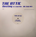 The Attic : Destiny (12")