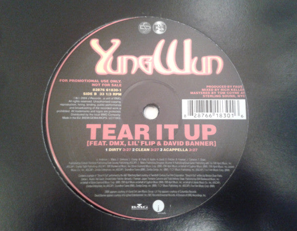 Yung Wun Feat. DMX, Lil' Flip & David Banner : Tear It Up (12", Single)