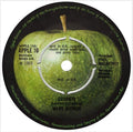 Mary Hopkin : Goodbye (7", Single, Pus)
