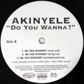 Akinyele : Do You Wanna? (12", Promo)