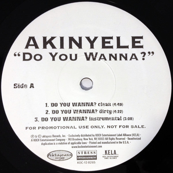 Akinyele : Do You Wanna? (12", Promo)