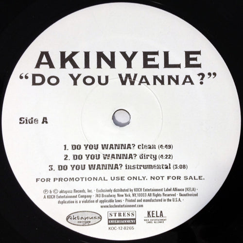 Akinyele : Do You Wanna? (12", Promo)