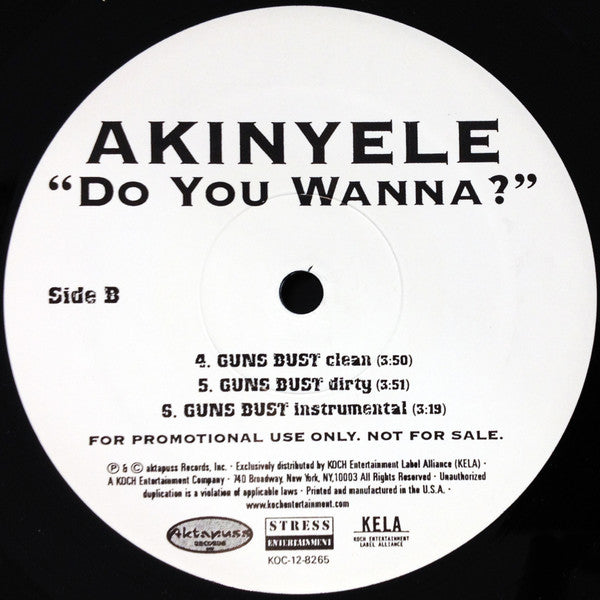 Akinyele : Do You Wanna? (12", Promo)