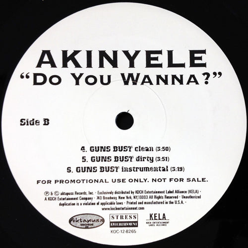 Akinyele : Do You Wanna? (12", Promo)