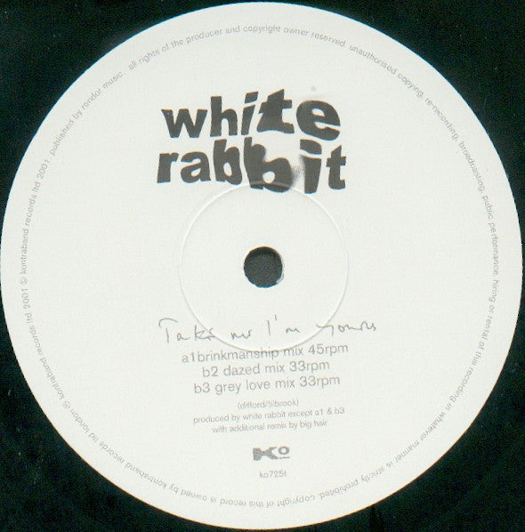The White Rabbit With Chris Difford Featuring Jane Birkin : Take Me I'm Yours (12")
